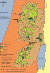 colonies en Cisjordanie en 95